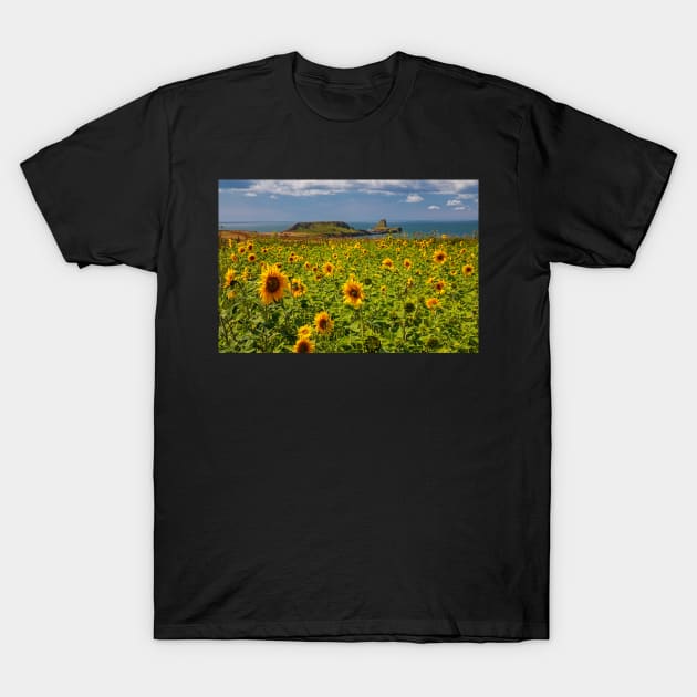 Rhossili Sunflowers T-Shirt by dasantillo